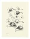 HENRY MOORE Lullaby Sketches.